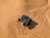 ����-����� Arcane Warrior ��� ������� LANDING Hardshell