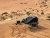 ������������� ������� �� ����� Arcane Warrior LANDING Hardshell