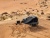 ����-����� Arcane Warrior ��� ������� LANDING Hardshell