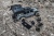 ������������� ������� �� ����� Arcane Warrior LANDING Hardshell