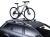    Thule ProRide 591