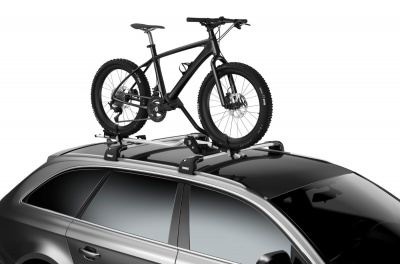  Thule 5981  Fatbike