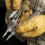 Мультитул LEATHERMAN Super Tool 300 BLACK(831151) Мультитул LEATHERMAN Super Tool 300 BLACK(831151)